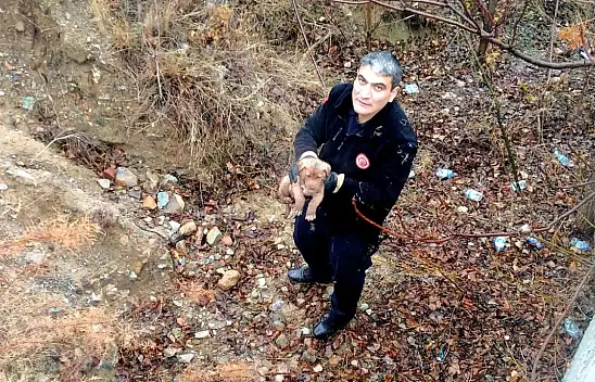 İstinat Duvarından Düşen Köpek Kurtarıldı
