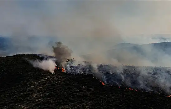 İzmir'de Orman Yangınlarına Müdahale Sürüyor