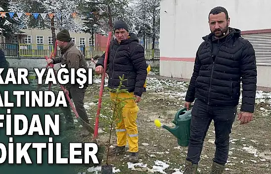 Kar Yağışı Altında Fidan Diktiler