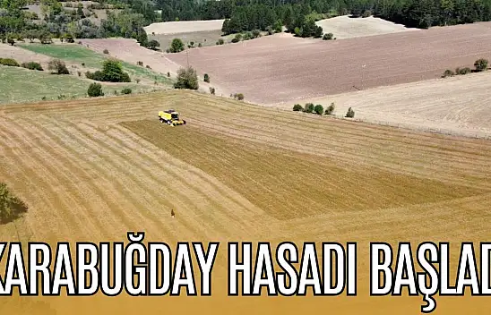 Karabuğday Hasadı Başladı