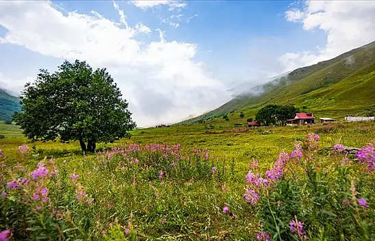 Karadeniz'e Uygun Fiyatlı Seyahat İlgi Çekiyor: Kastamonu'da Öne Çıktı