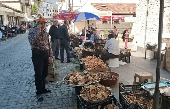 Kasa Kasa Kanlıca Mantarında Fiyatlar Düştü