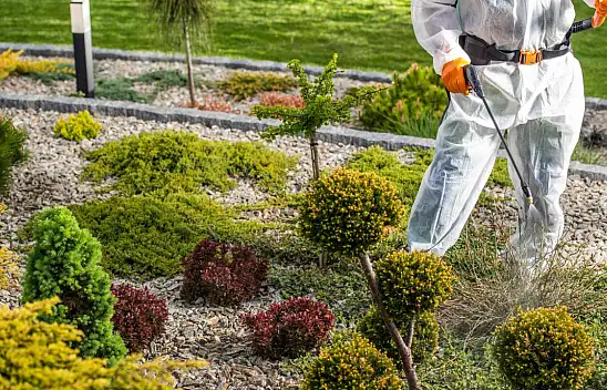 Kastamonu Belediyesi, İlaçlama Rotalarını Açıkladı
