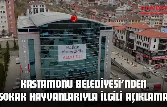 Kastamonu Belediyesi'nden Sokak Hayvanlarıyla İlgili Açıklama