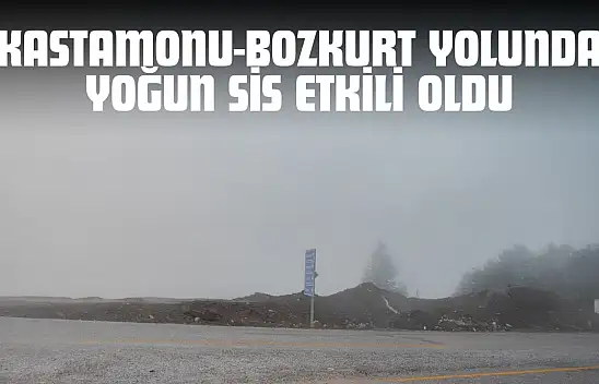 Kastamonu-Bozkurt Yolunda Yoğun Sis Etkili Oldu