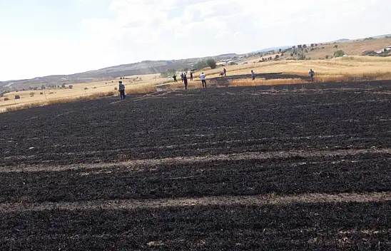 Kastamonu'da 15 Dönüm Buğday Tarlası Küle Döndü