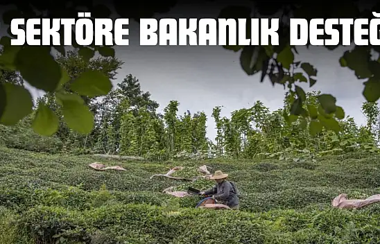 Kastamonu'da 3 Sektöre Bakanlık Desteği