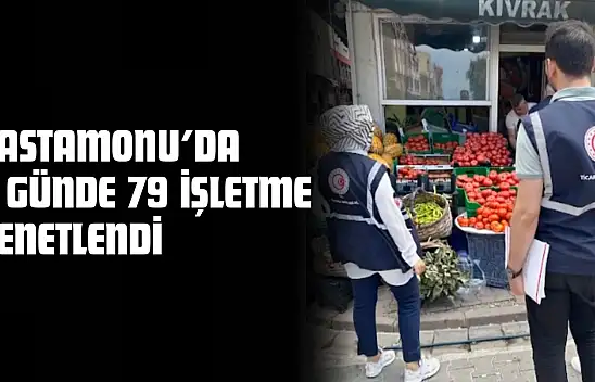 Kastamonu'da 5 Günde 79 İşletme Denetlendi