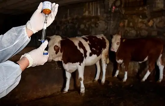 Kastamonu'da 56 Köy ve Mahalle Karantina Altında