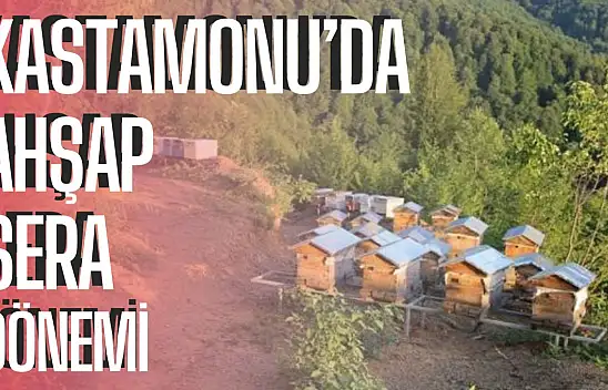 Kastamonu'da ahşap sera dönemi, hedef serada bölge merkezi olmak