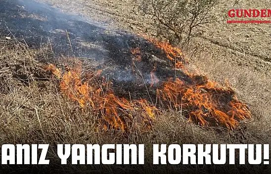 Kastamonu'da Anız Yangını Korkuttu!