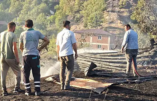 Kastamonu'da Aynı Bölgede İkinci Orman Yangını!