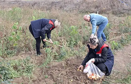 Kastamonu'da Bitki Sağlığı Çalışmaları Aralıksız Devam Ediyor