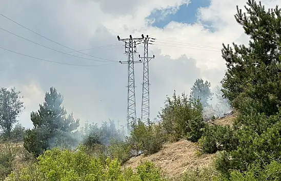 Kastamonu'da Çıkan Orman Yangınına Müdahale Ediliyor