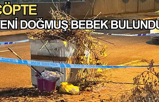 Kastamonu'da çöpte yeni doğmuş bebek bulundu