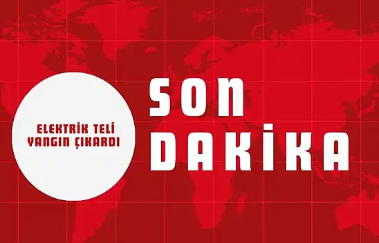 Kastamonu'da Elektrik Teli Yangın Çıkardı