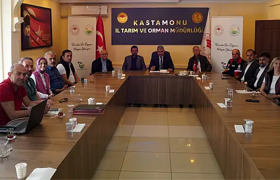 Kastamonu'da Güçlenerek Devam Ediyor