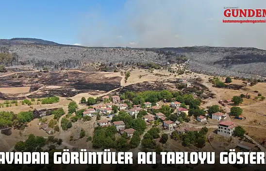 Kastamonu'da Havadan Görüntüler Acı Tabloyu Gösterdi