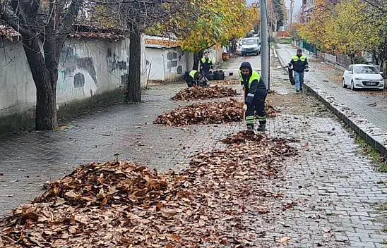 Kastamonu'da Hummalı Çalışma