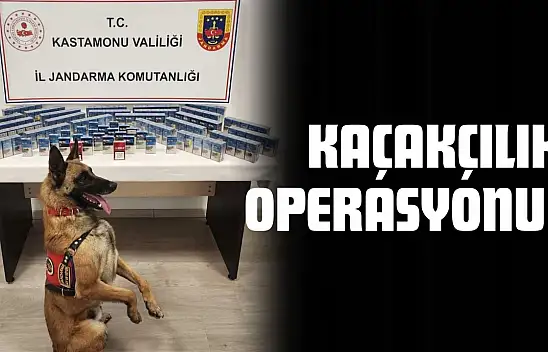 Kastamonu'da Kaçakçılık Operasyonu!