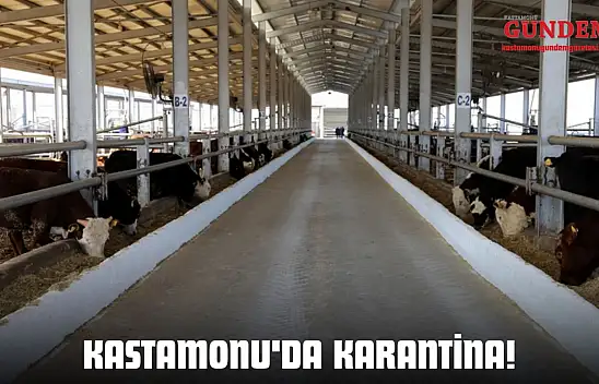 Kastamonu'da Karantina!