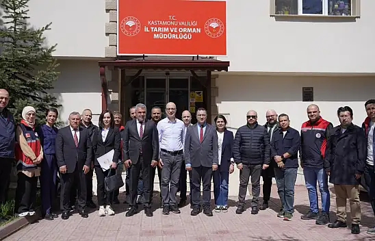 Kastamonu'da Kırsal Kalkınmaya IFAD Desteği