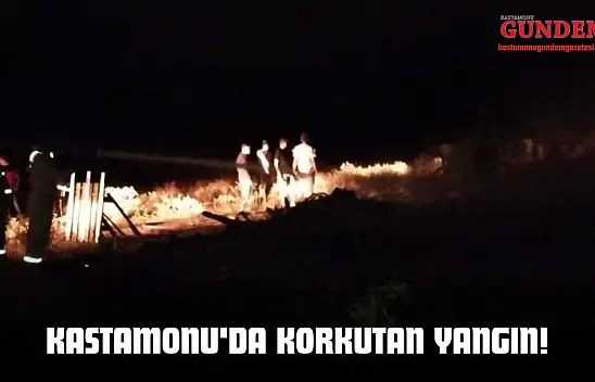 Kastamonu'da Korkutan Yangın!