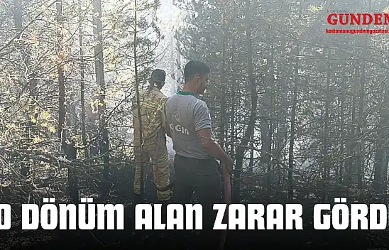Kastamonu'da Orman Yangını: 10 Dönüm Alan Zarar Gördü