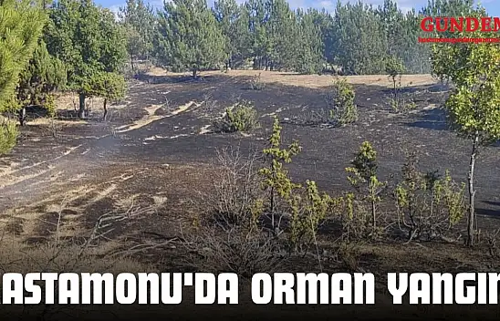 Kastamonu'da Orman Yangını