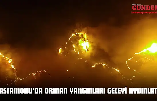 Kastamonu'da Orman Yangınları Geceyi Aydınlattı