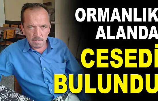 Kastamonu'da Ormanlık Alanda Erkek Cesedi Bulundu