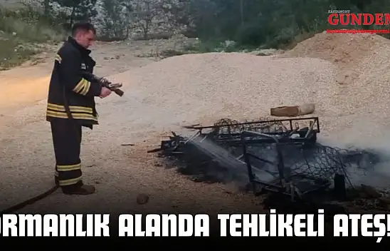 Kastamonu'da Ormanlık Alanda Tehlikeli Ateş!