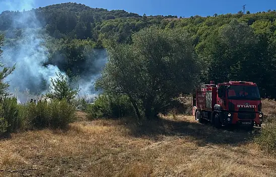 Kastamonu'da Ormanlık Alanda Yangın