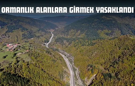 Kastamonu'da Ormanlık Alanlara Girmek Yasaklandı