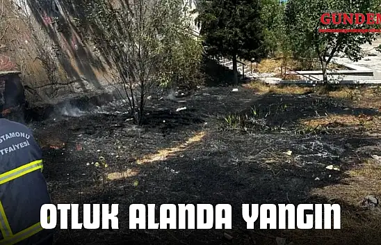 Kastamonu'da Otluk Alanda Yangın