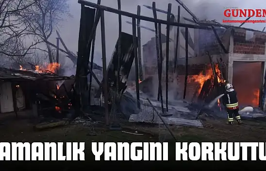 Kastamonu'da Samanlık Yangını Korkuttu!