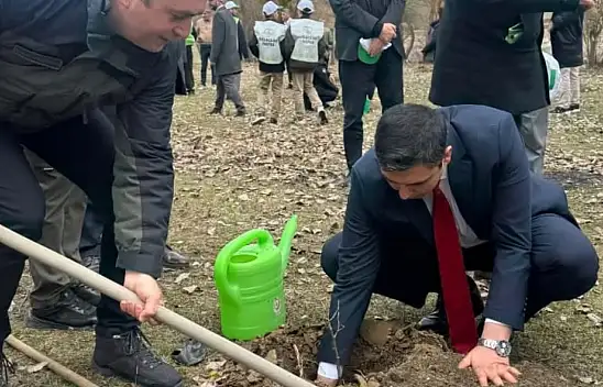 Kastamonu'da Şehit Ve Gaziler İçin Fidan Dikildi