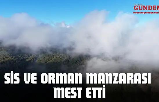 Kastamonu'da Sis ve Orman Manzarası Mest Etti
