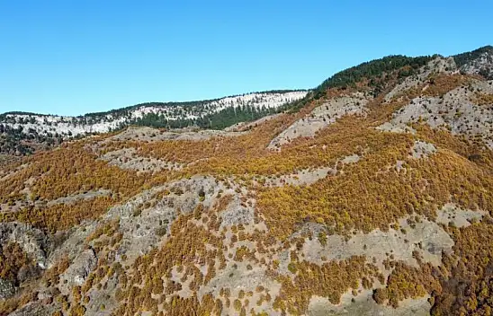 Kastamonu'da Sonbaharın Renkleri Mest Ediyor