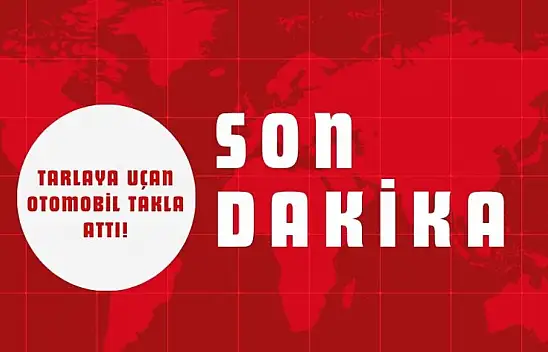 Kastamonu'da Tarlaya Uçan Otomobil Takla Attı!