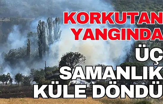Kastamonu'da Üç Samanlık ve Ekin Tarlası Yandı
