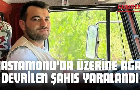 Kastamonu'da Üzerine Ağaç Devrilen Şahıs Yaralandı