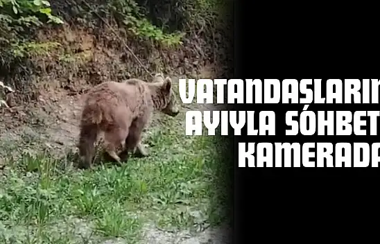 Kastamonu'da Vatandaşların Ayıyla Sohbeti Kamerada