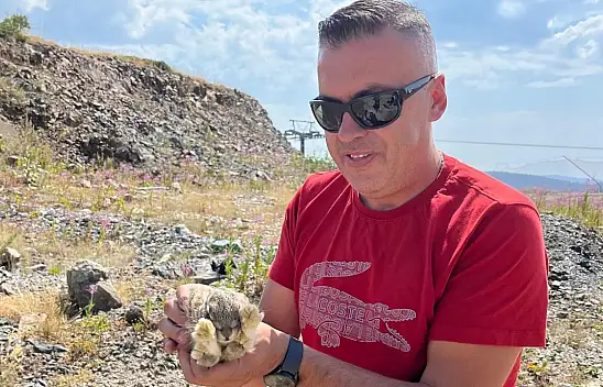 Kastamonu'da Yaban Hayvanları Renkli Görüntüler Oluşturdu