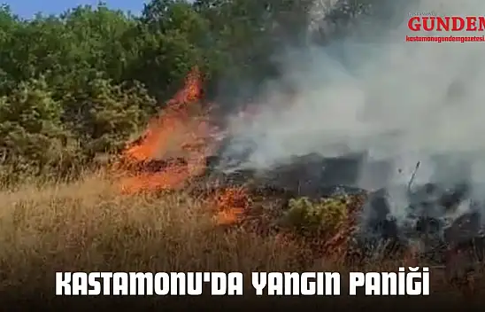 Kastamonu'da Yangın Paniği