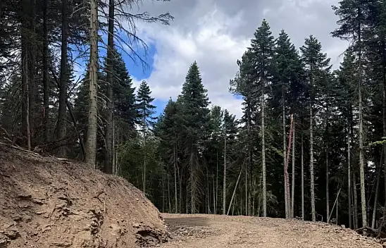 Kastamonu'da Yeni Orman Yolu Çalışmaları Sürüyor