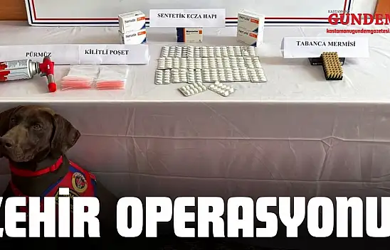 Kastamonu'da Zehir Operasyonu: 1 Tutuklama!