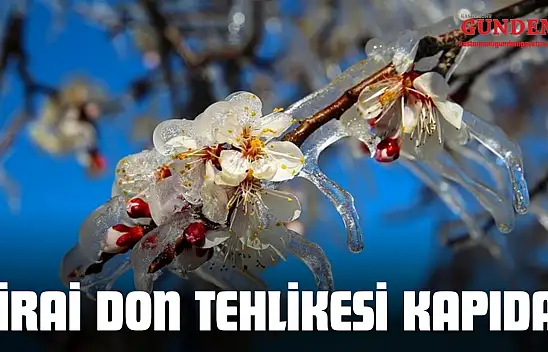 Kastamonu'da Zirai Don Tehlikesi Kapıda!