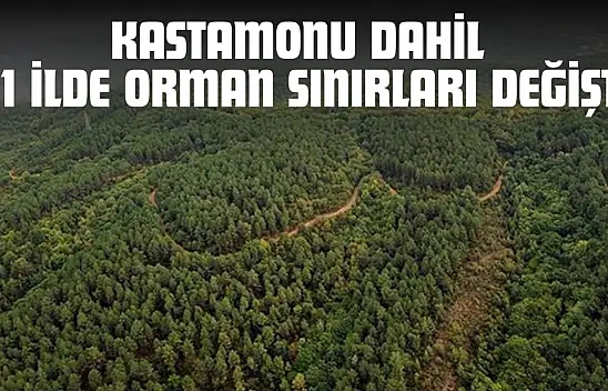 Kastamonu Dahil 21 İlde Orman Sınırları Değişti