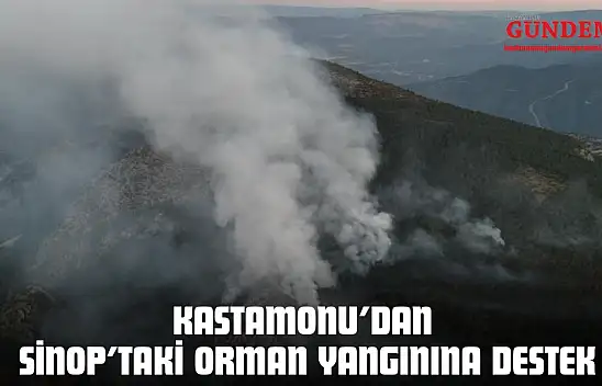 Kastamonu'dan Sinop'taki Orman Yangınına Destek